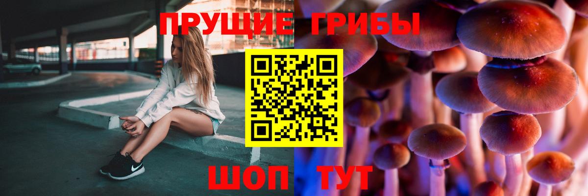 купить наркотики цена  Галлюциногенные грибы Psilocybine cubensis  Вход с VPN  Кашира 